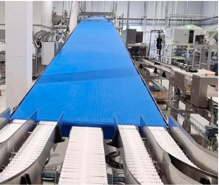 Conveyor line for transporting bread loaves - 75m x 4 streams Q241001.7890 photo