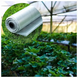 Greenhouse film 3000mm x 100mkm x 50m - 24 months 240821.7525 photo 1